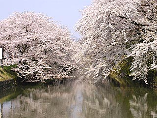 OÔx